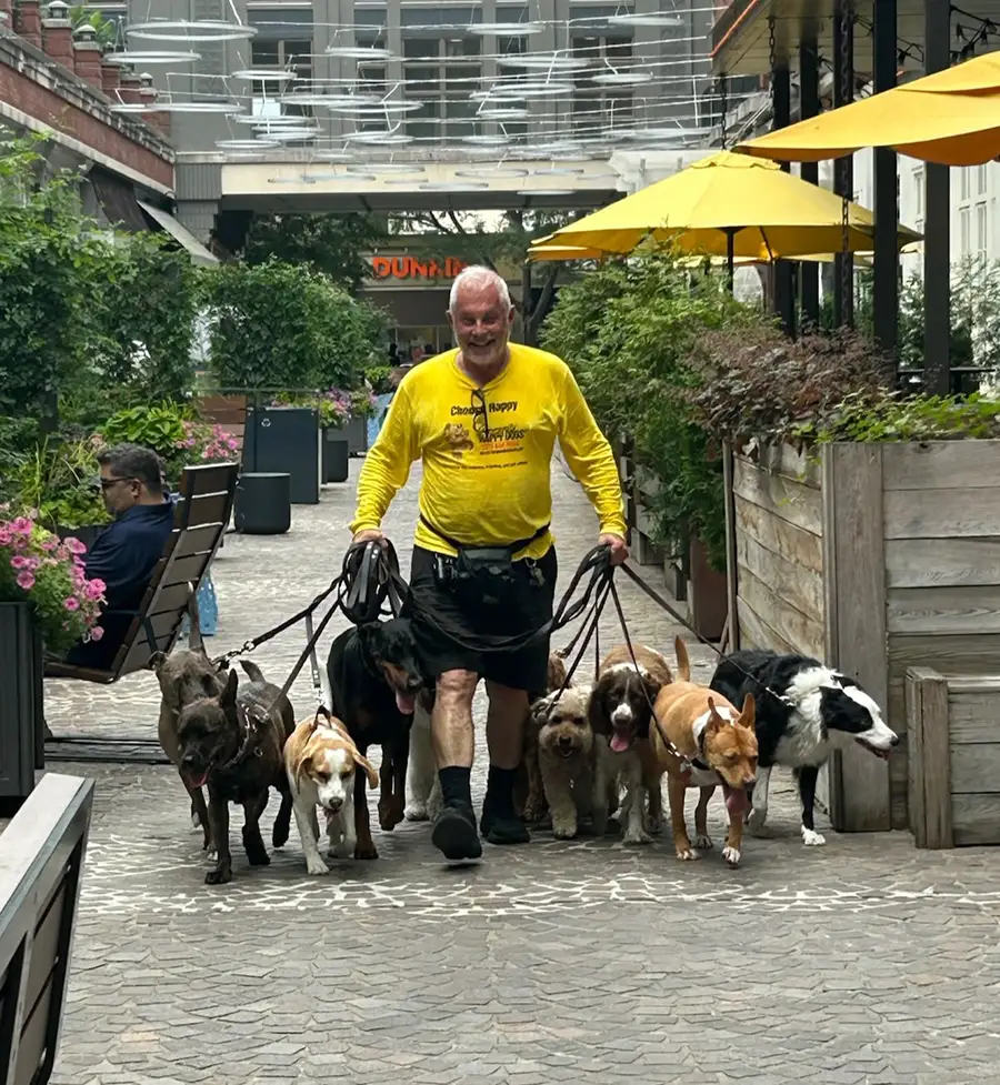 Tom Simpson - Community Happy Dogs